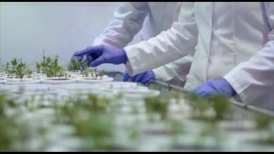 Difesa del suolo, Cic: "Carbon Farming" anche nelle grandi città