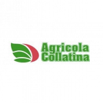 Agricola Collatina