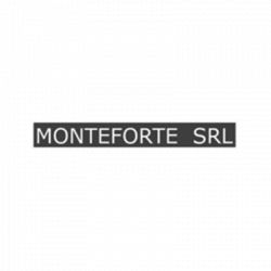 Monteforte srl logo