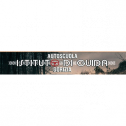 Autoscuola Istituto di Guida logo