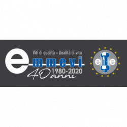 Emmevi logo