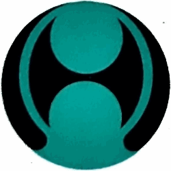 Veicoli Industriali Mattoni logo