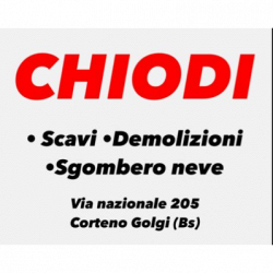 Chiodi Scavi Demolizioni e Movimento Terra logo