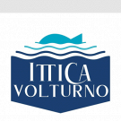 Ittica Volturno