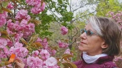 Il giallo di Liliana Resinovich: i coltelli di Sebastiano