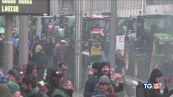 Trattori a Bruxelles "Reddito dignitoso"