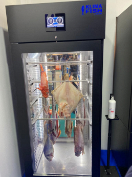 armadio frigo per frollatura pesce