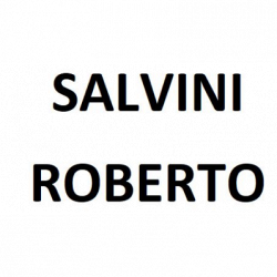 Salvini Roberto Decoratore logo