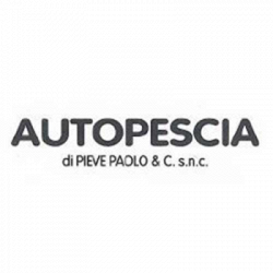 Autopescia Officina Elettrauto logo