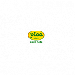 Pica La Pasta all'Uovo logo