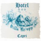 Hotel Villa Krupp