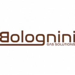 Bolognini logo