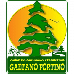 Azienda agricola vivaistica Gaetano Fortino - Vivai e Piante logo
