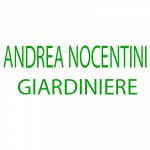 Andrea Nocentini Giardini