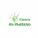 Fioreria al Platano