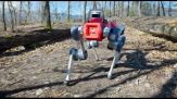 I robot zoomorfi guardiani delle foreste per tutelarne la salute