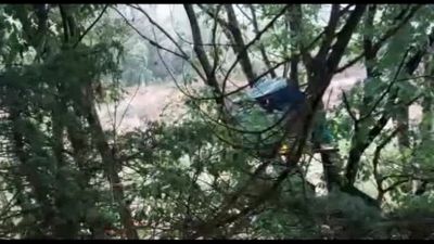 Extinction Rebellion denuncia: sgombero violento a bosco Gallarate
