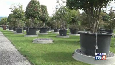 Memorial Vannucci Piante Un impegno per salvare il pianeta