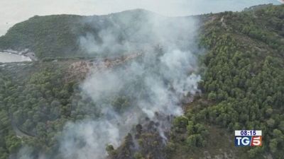 Vieste, incendio doloso e torna il gran caldo