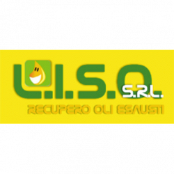 Liso logo