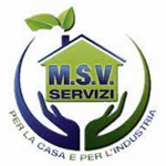 Msv Servizi
