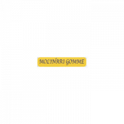 Molinari Gomme logo