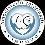 Ambulatorio Veterinario Vigonza