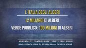 Ambientalisti contro l'abbattimento degli alberi