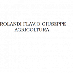Rolandi Flavio Giuseppe