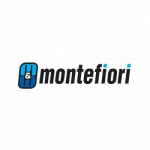 M e M Montefiori Automatismi