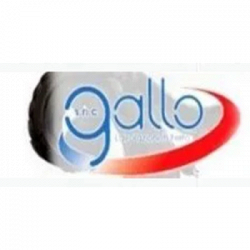 Gallo Snc di Gallo Rodolfo & Geom. Stefano logo