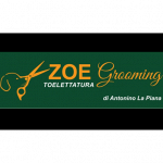 Toelettatura Zoe Grooming di Antonino La Piana