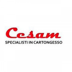 Cesam Specialisti in Cartongesso logo