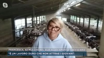 Francesca, 82 mucche nel suo allevamento trevigiano