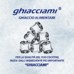 Ghiacciami - Ghiaccio Gourmet a Cubetti