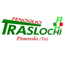 Traslochi e Trasporti Fenoglio logo