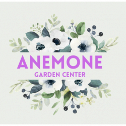 Anemone Piante e Fiori logo