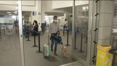 Rivoluzione nel trasporto aereo, sì a cani e gatti in cabina