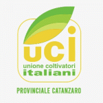 U.C.I. Provinciale di Catanzaro