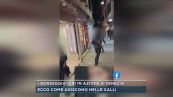 I borseggiatori in azione a Venezia