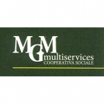 Mgm Multiservices