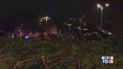 Ondata di maltempo Crolla un pino a Roma