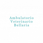 Ambulatorio Veterinario Bellaria