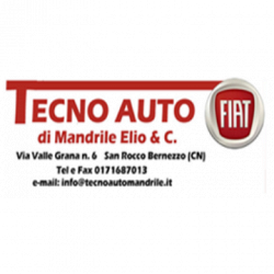 Tecno Auto Mandrile Elio S.r.l. - Autofficina Autorizzata Fiat logo