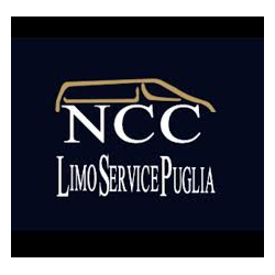 Ncc Brindisi Taxi Limo Service logo