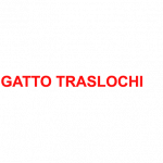 Gatto Traslochi