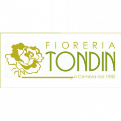 Fioreria Tondin di Tondin Alex & C. S.a.s logo