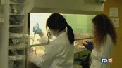 Hantavirus, negativi i 4 sospetti in Italia