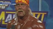 Addio Hulk Hogan
