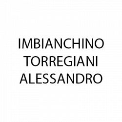 Imbianchino Torregiani Alessandro logo